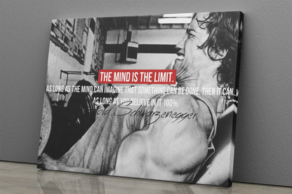 Arnold Schwarznegger Poster Quote Motivation Canvas Wall Art Home Decor Framed Art