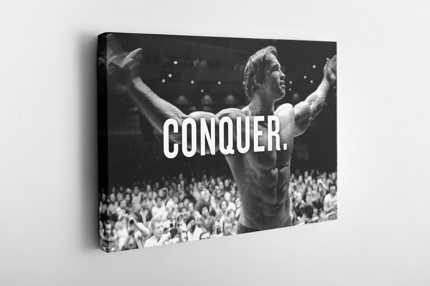 Arnold Schwarzenegger Poster Body Building Canvas Wall Art Home Decor Framed Art